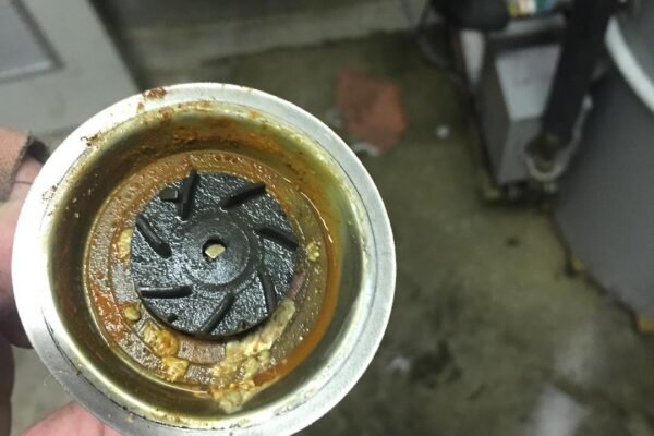 gsp10